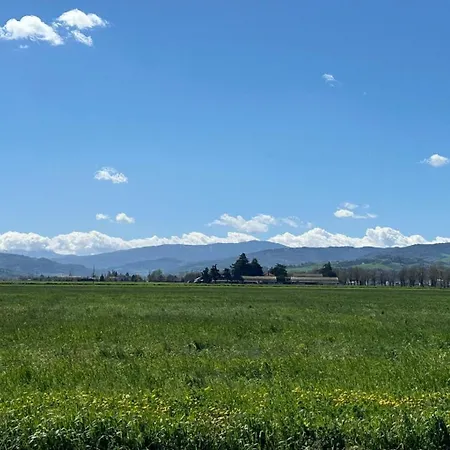 Alberto & Ilaria Parma